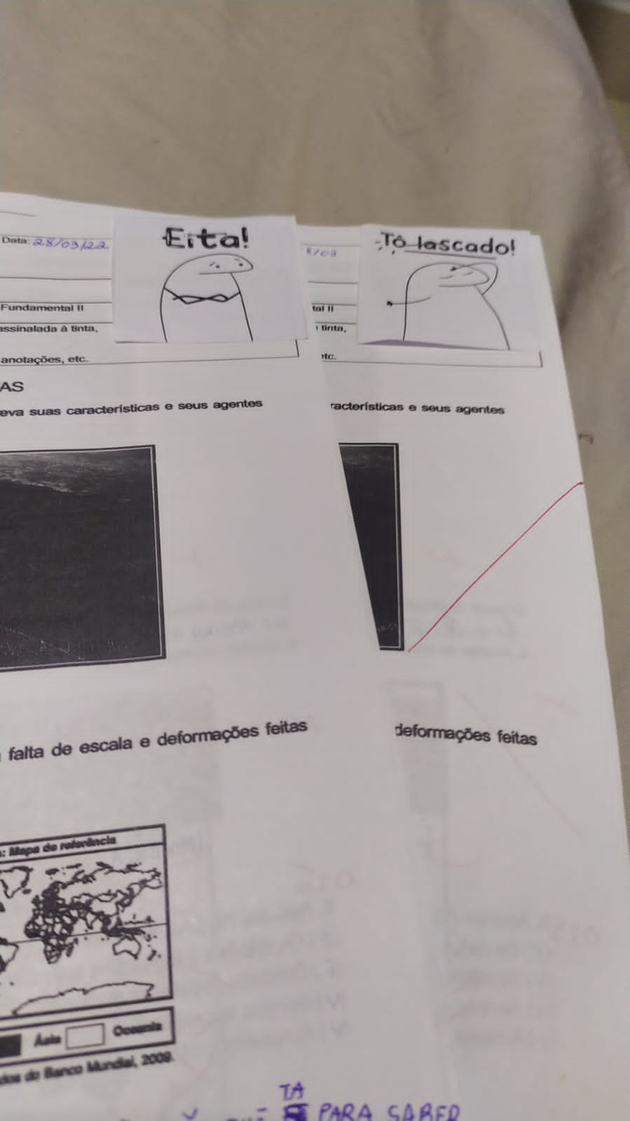 35 Flork para Notas Escolares - Correção de Provas